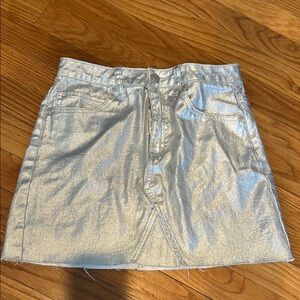 Metallic Silver Skirt